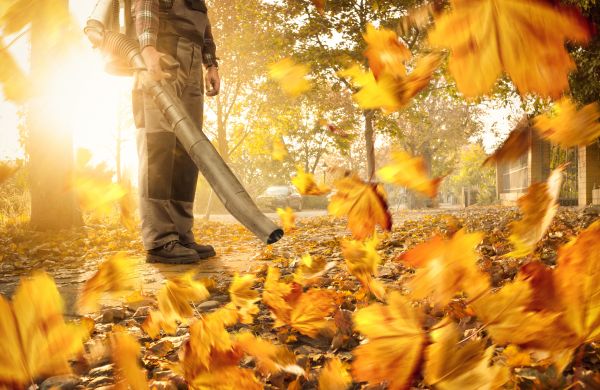 Leaf Blowing Service in Westfield