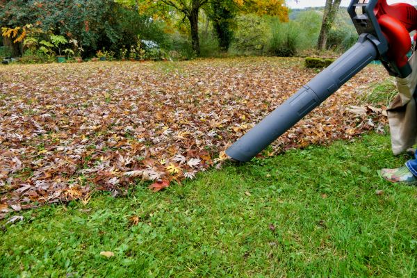 Leaf Vacuuming Service in Westfield