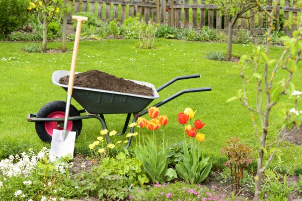 Cost of Spring Yard Cleanup in Westfield