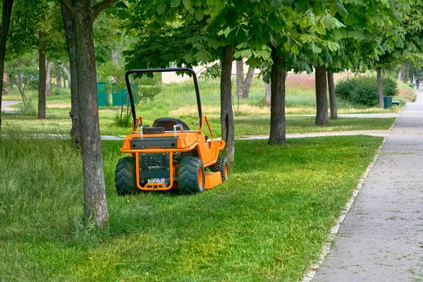 Landscaping Cleanup Service in Westfield