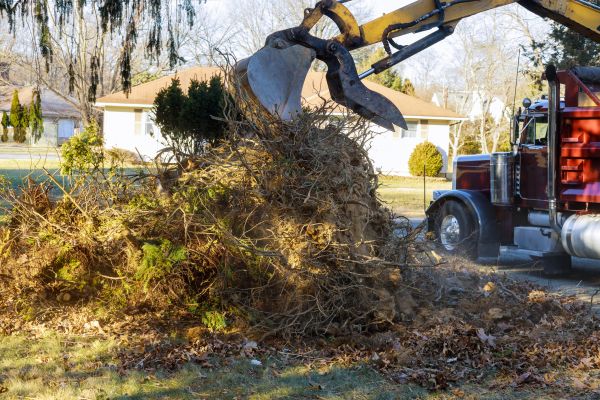 Storm Debris Removal in Westfield