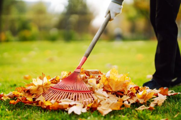 Cost of Ditch Leaf Removal in Westfield