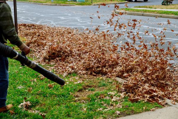 Cost of Garden Leaf Removal in Westfield