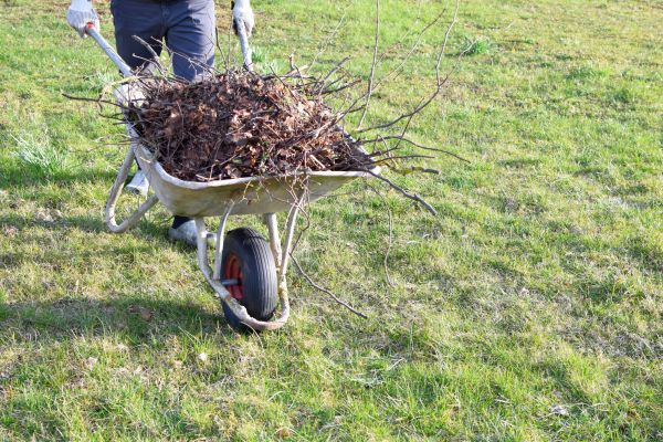 Yard Brush Removal in Westfield