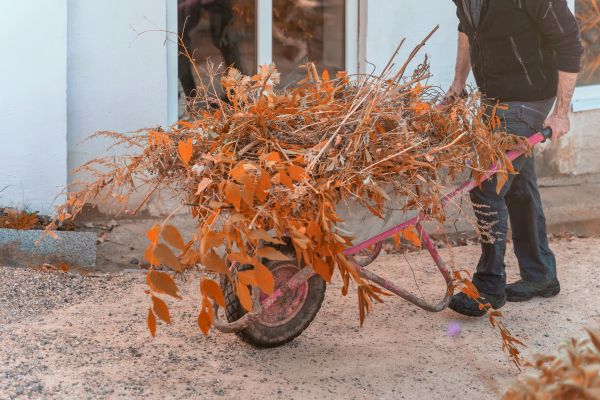 Cost of Lawn Debris Cleanup in Westfield