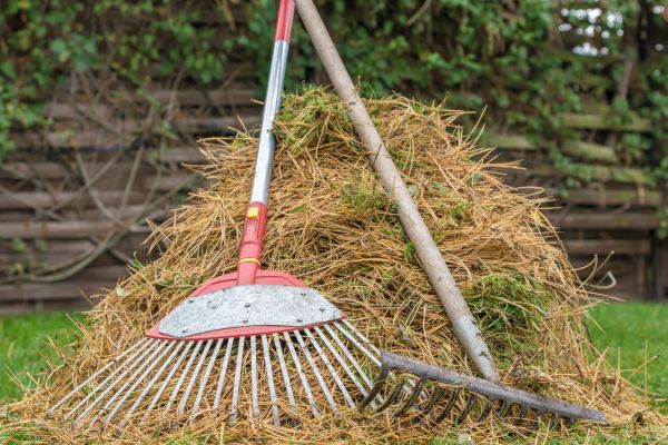 Cost of Pine Straw Clearing in Westfield