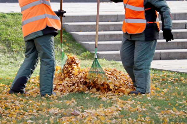 Cost of Leaf Hauling Service in Westfield