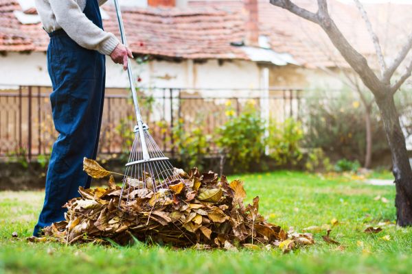 Spring Lawn Cleanup in Westfield