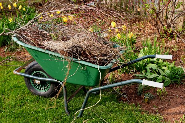 Lawn Waste Removal in Westfield