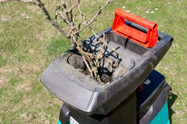 Cost of Brush Cleanup Service in Westfield