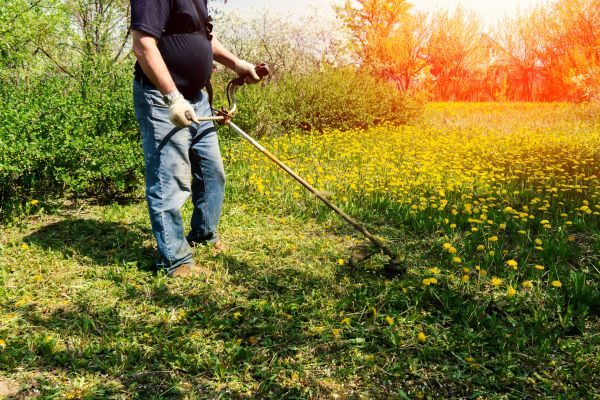 Cost of Yard Clearing Service in Westfield