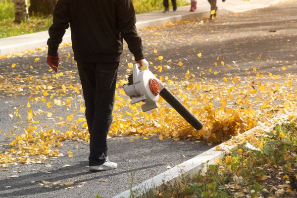 Commercial Leaf Removal in Westfield