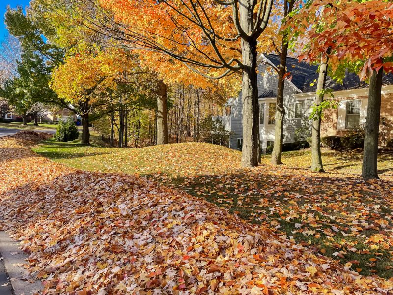 Autumn Leaf Removal