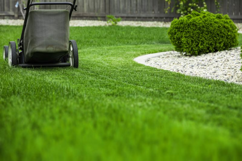 Lawn with Freshly Trimmed Edges