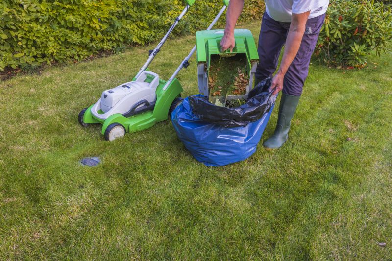 Eco-Friendly Yard Cleaners